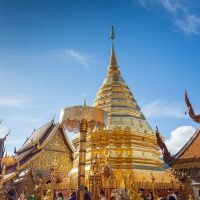 Half-day Tours
