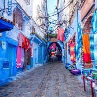 Tours & Sightseeing