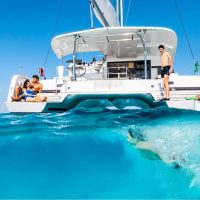 Day Cruises