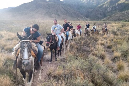 New Year’s Eve in Mendoza