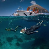 Snorkeling