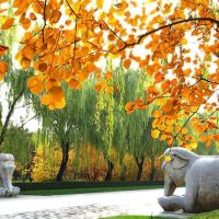 Private Sightseeing Tours