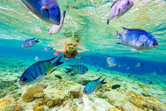 Valentine's Day in Punta Cana