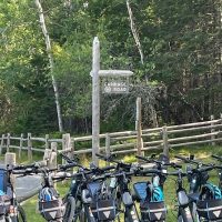 Bike Rentals