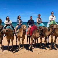 Half-day Tours