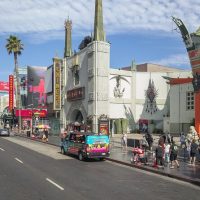 Bus & Minivan Tours