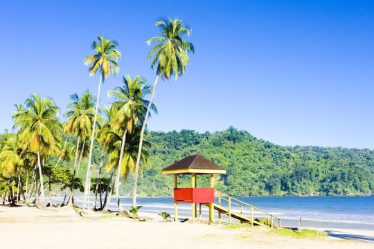 New Year’s Eve in Trinidad and Tobago