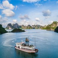 Cruises, Sailing & Water Tours
