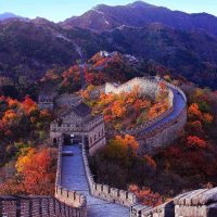 Bus & Minivan Tours