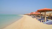 Best Team in hurghada