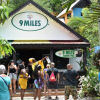 Cultural Tours