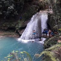 Bus & Minivan Tours