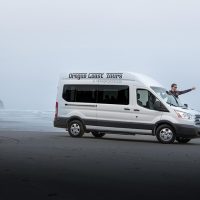 Luxury & Special Occasions