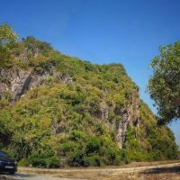 Private Sightseeing Tours