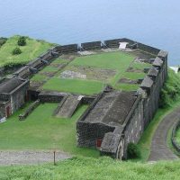 Half-day Tours