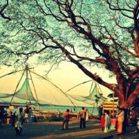 Cruises, Sailing & Water Tours