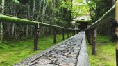 Best way to experience Kyoto!