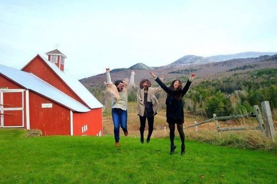 Veteran's Day in Vermont