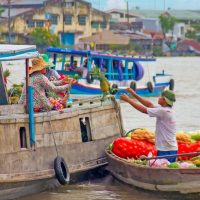 Full-day Tours