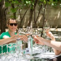 Wine Tasting & Winery Tours
