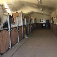 Horseback Riding