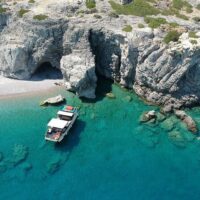 Half-day Tours