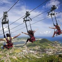 Day Trips & Excursions