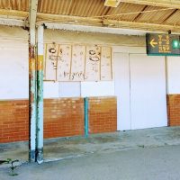 Literary, Art & Music Tours