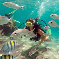 Snorkeling
