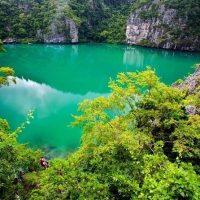 Bus & Minivan Tours