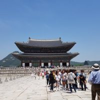 Tours & Sightseeing