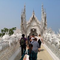 Full-day Tours