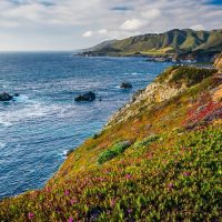 Private & Custom Tours
