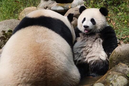 Good Friday in Southwest China