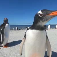 Day Trips & Excursions