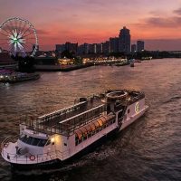 Day Cruises