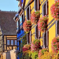Walking Tours