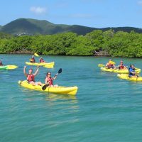 Ports of Call Tours