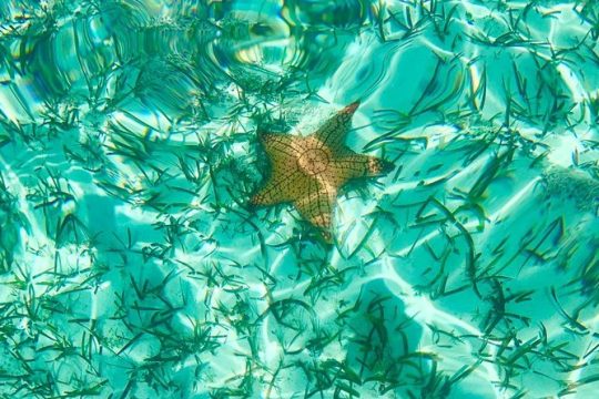 Good Friday in Providenciales