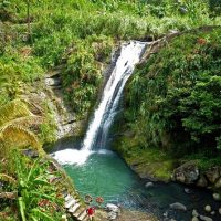 Luxury Tours
