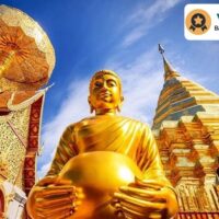 Bus & Minivan Tours