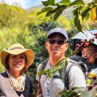 Bus & Minivan Tours