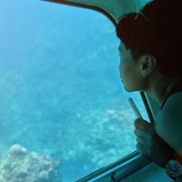 Cruises, Sailing & Water Tours