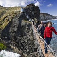 Shore Excursions