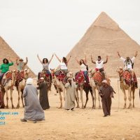 Private Sightseeing Tours