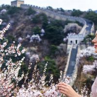 Private & Custom Tours