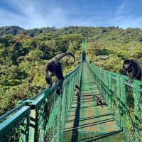Walking & Biking Tours