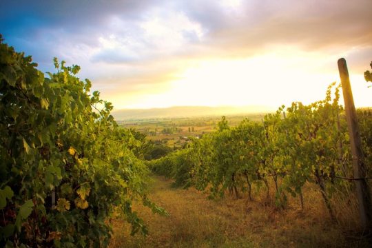 New Year’s Eve in Umbria