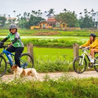 Bike & Mountain Bike Tours