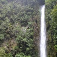 Bus & Minivan Tours